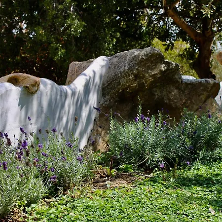 アパート Domo Galana