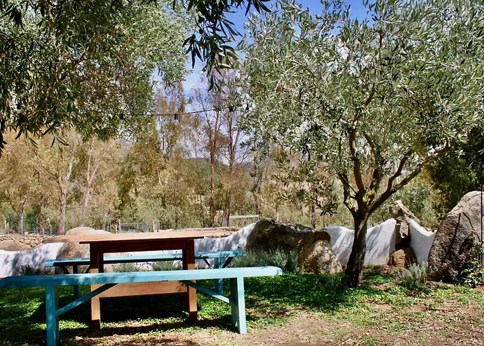 Domo Galana Apartment