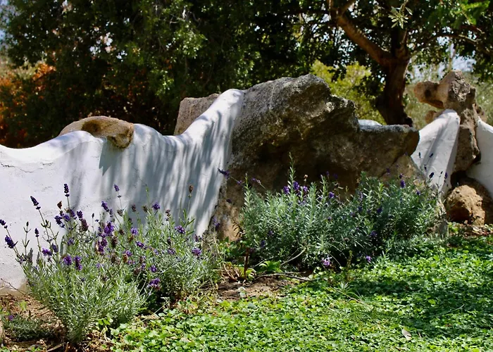 Apartment Domo Galana